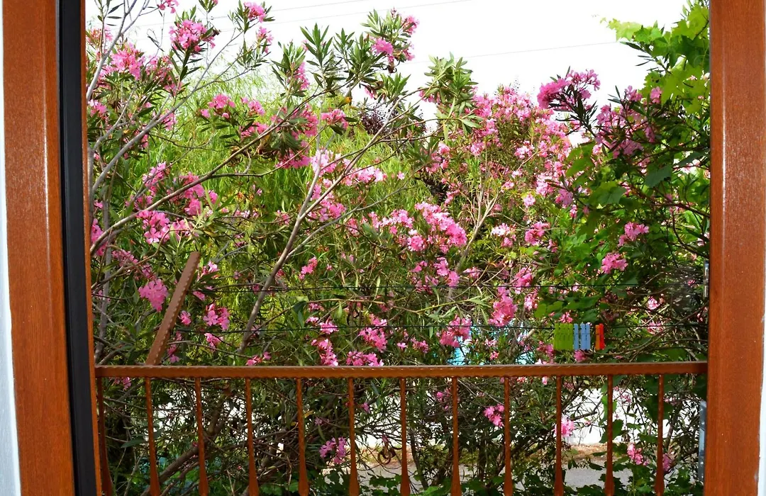 Villa Poseidon-1